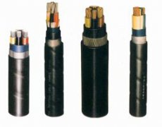  늾���|�N�(l��i) 