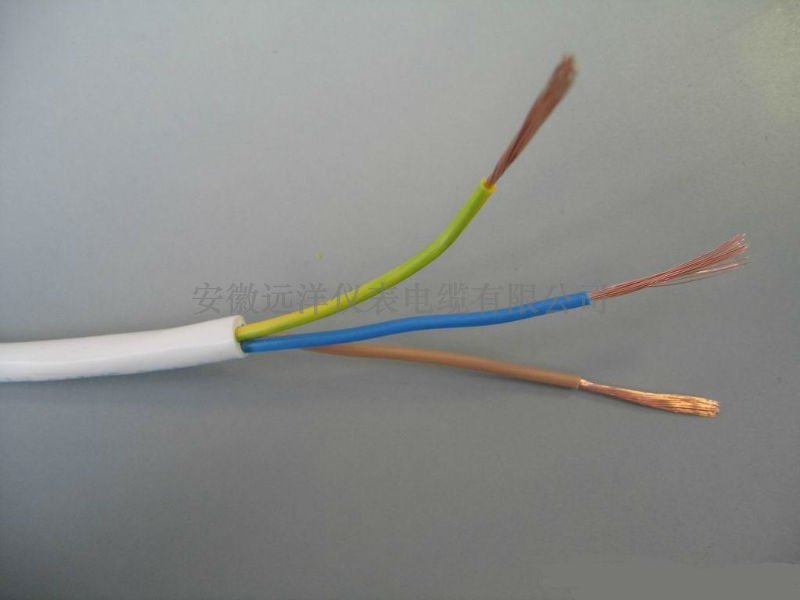 3芯RVV軟護(hù)套電線(xiàn)電源線(xiàn)價(jià)格